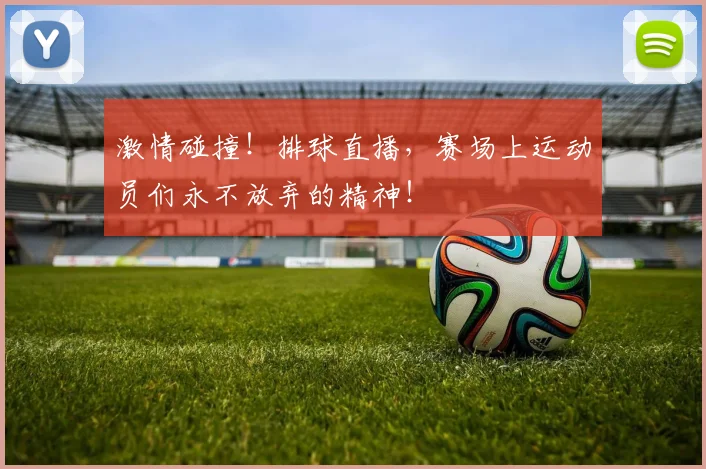 激情碰撞！排球直播，赛场上运动员们永不放弃的精神！