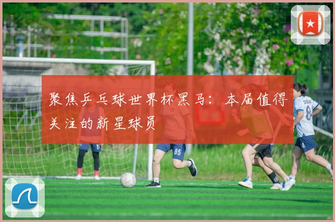 聚焦乒乓球世界杯黑马：本届值得关注的新星球员
