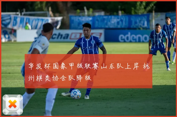 华发杯国象甲级联赛山东队上岸 杭州棋类协会队降级